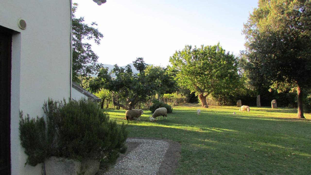 Agriturismo "Borgo Madonna Degli Angeli" - Charming Cottages In The Gardens ! Tocco da Casauria Exterior foto