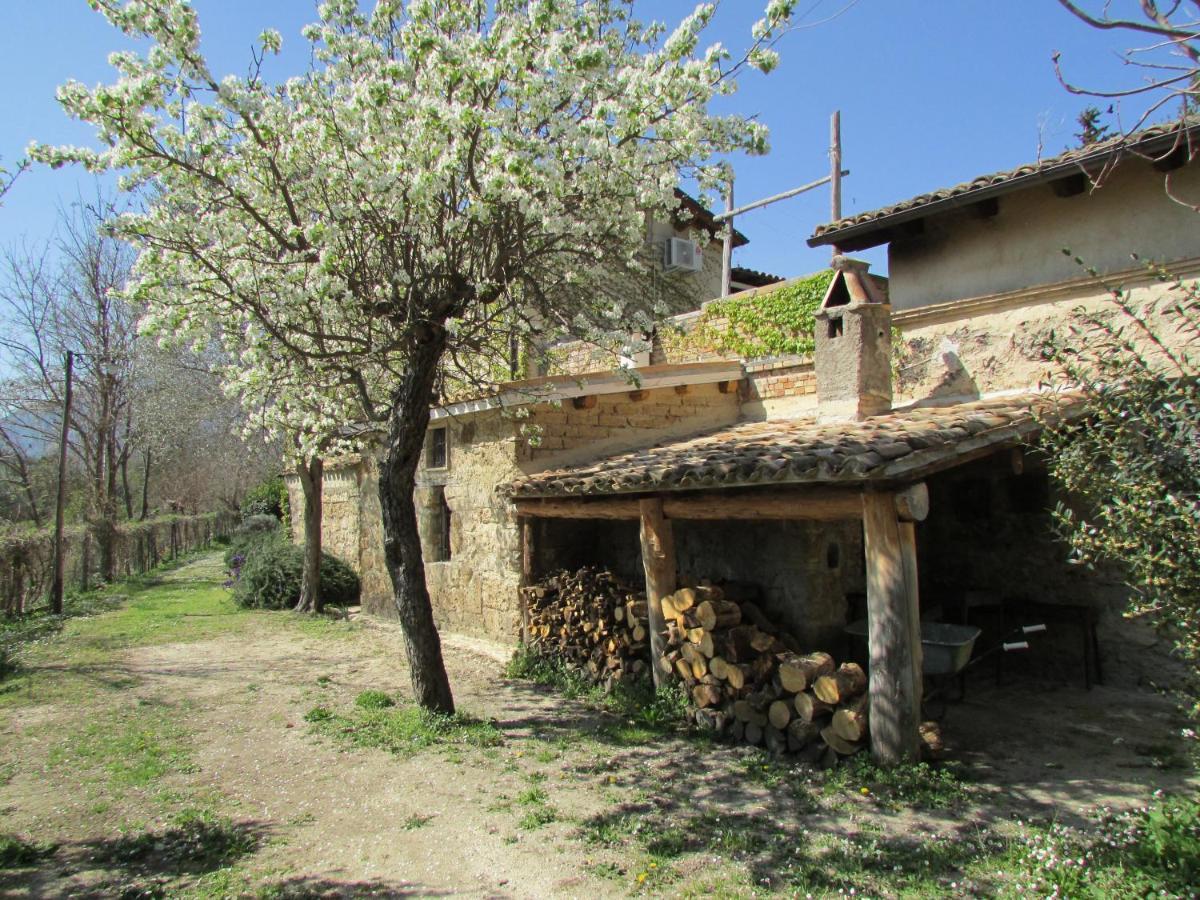 Agriturismo "Borgo Madonna Degli Angeli" - Charming Cottages In The Gardens ! Tocco da Casauria Exterior foto