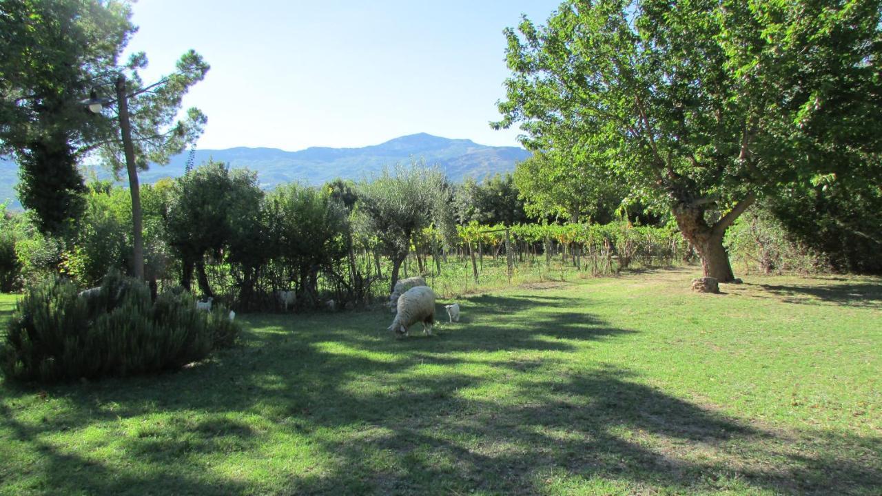 Agriturismo "Borgo Madonna Degli Angeli" - Charming Cottages In The Gardens ! Tocco da Casauria Exterior foto