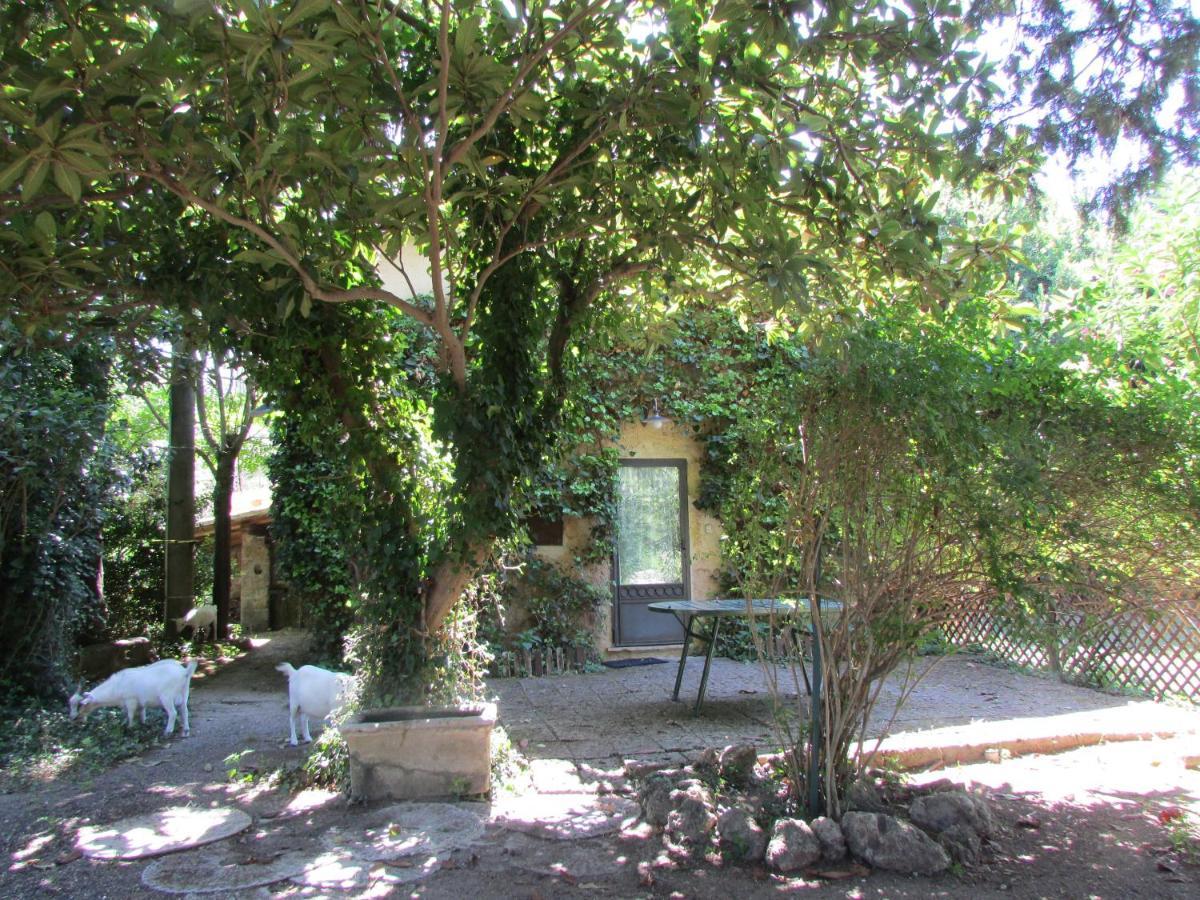 Agriturismo "Borgo Madonna Degli Angeli" - Charming Cottages In The Gardens ! Tocco da Casauria Exterior foto